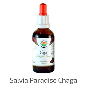 Salvia_Paradise_Chaga_tinktura